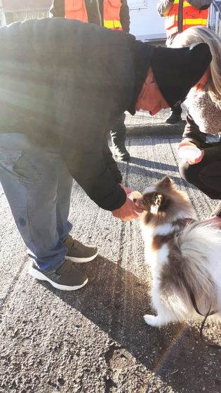 IMG-20251122-WA0007a