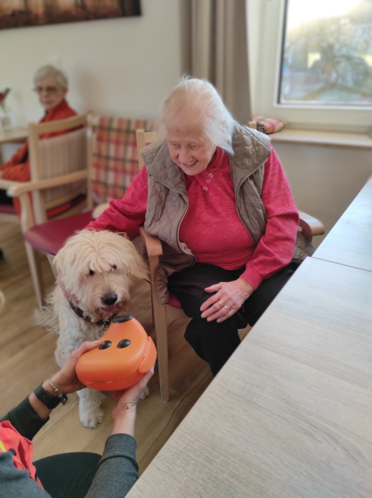 IMG 20251122 153016a