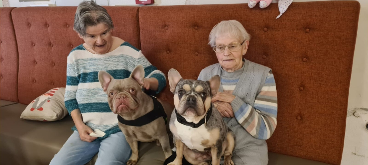 Tierischer Besuch (2)